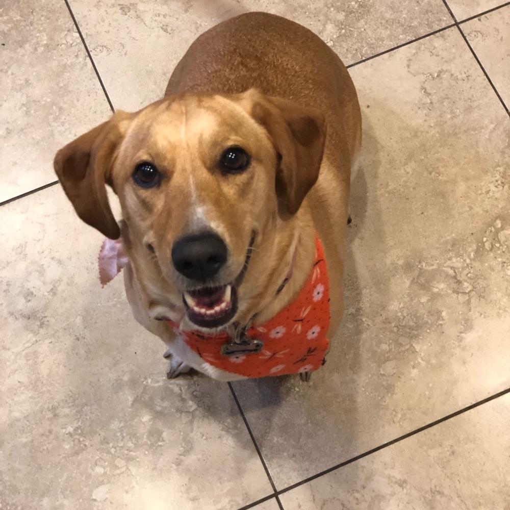 Meet your Posher, Amanda